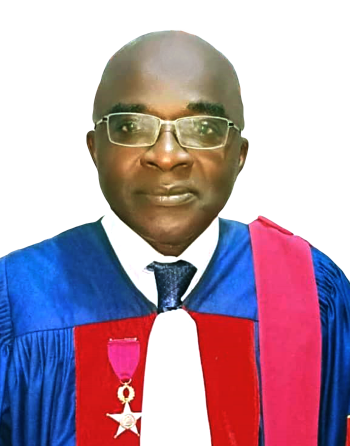 Prof. Francois-Xavier Mbopi-Keou 